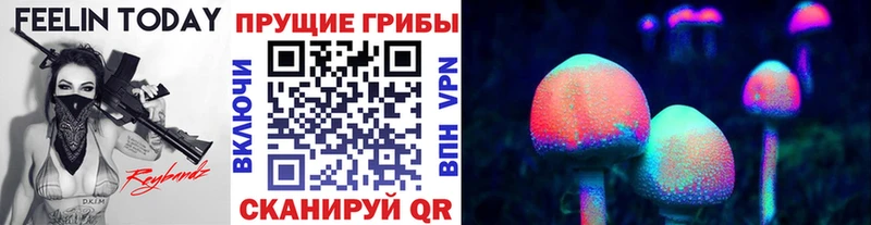 закладки  Тутаев  Галлюциногенные грибы Psilocybe 