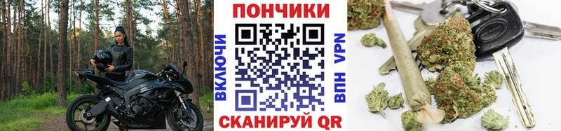 где найти   Тутаев  Шишки марихуана план 